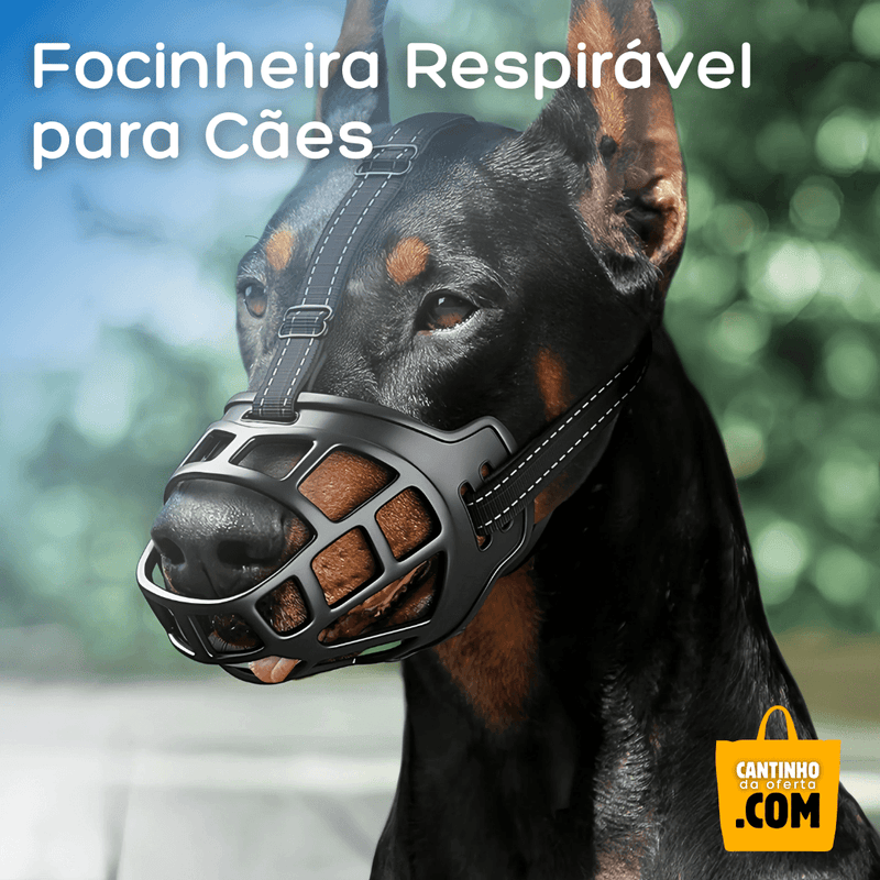 Focinheira Respirável para Cães