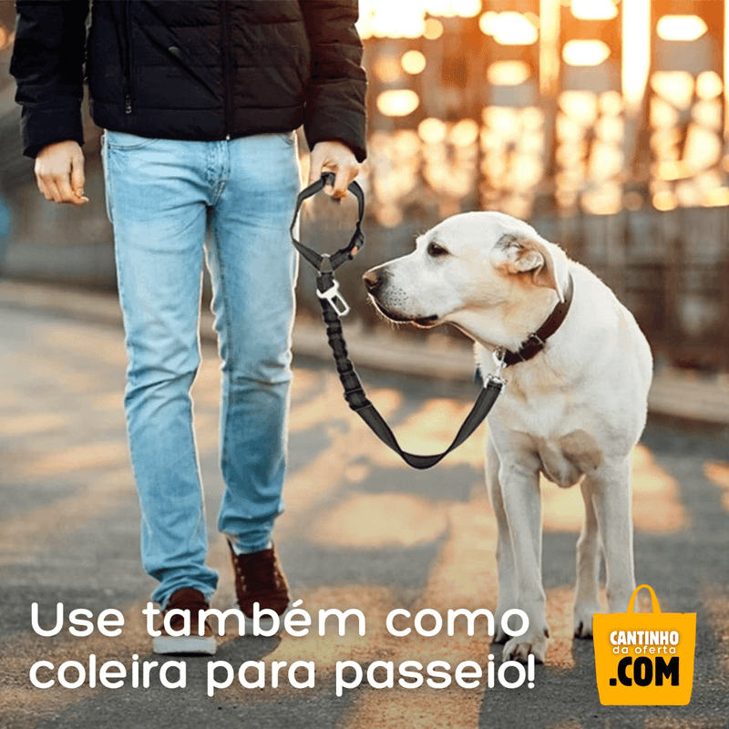 Cinto de Segurança para Cães 2 em 1